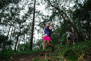 BIB: 
                            <button type="button" onclick="openModal(22556798)" class="btn btn-primary btn-sm float-right btn-popup" data-toggle="modal" data-target=".modal-high-quality">
                        <i class="fas fa-shopping-cart"></i> Add to Cart
                    </button>
                                            <button type="button" onclick="isThisMe(22556798, true)" class="btn btn-success btn-sm float-right btn-popup btn-isme hidden" data-toggle="tooltip" data-placement="bottom" title="นี่คือรูปของคุณใช่ไหม คลิกที่นี่เพื่อเอาเข้าอัลบั้ม">
                        <i class="fas fa-plus"></i> Add to album
                    </button>
                    <button type="button" onclick="isThisMe(22556798, false)" class="btn btn-warning btn-sm float-right btn-popup btn-isnotme hidden">
                        <i class="fas fa-ban"></i> Remove from album
                    </button>